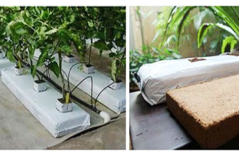 Hydroponic Grow Bags, Coir Grow Bags